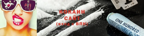 прущие крисы Новозыбков