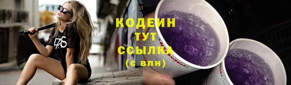 прущие крисы Арсеньев