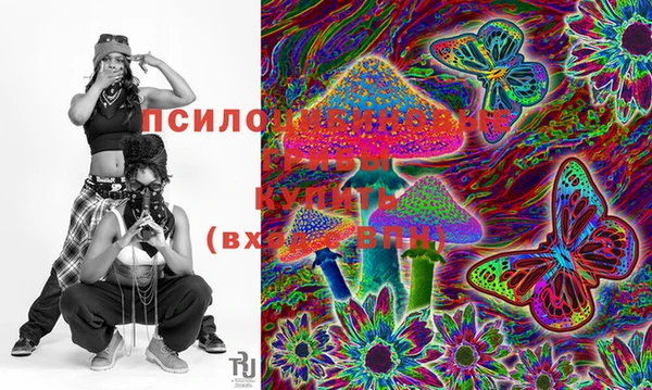 прущие крисы Новозыбков