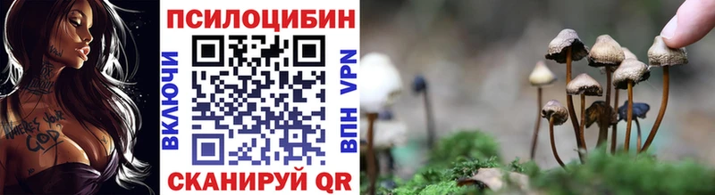 наркошоп  Ухта  Псилоцибиновые грибы ЛСД 